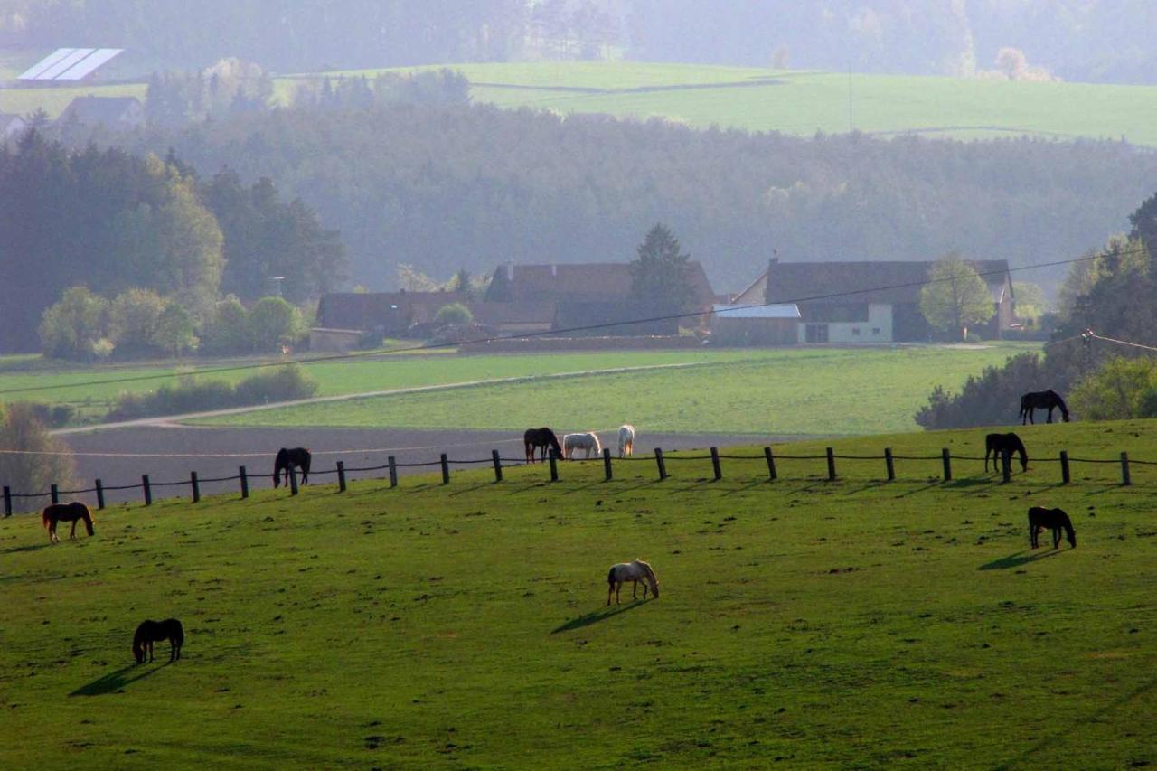 Haus Hollerbusch Neunburg vorm Wald Exterior foto