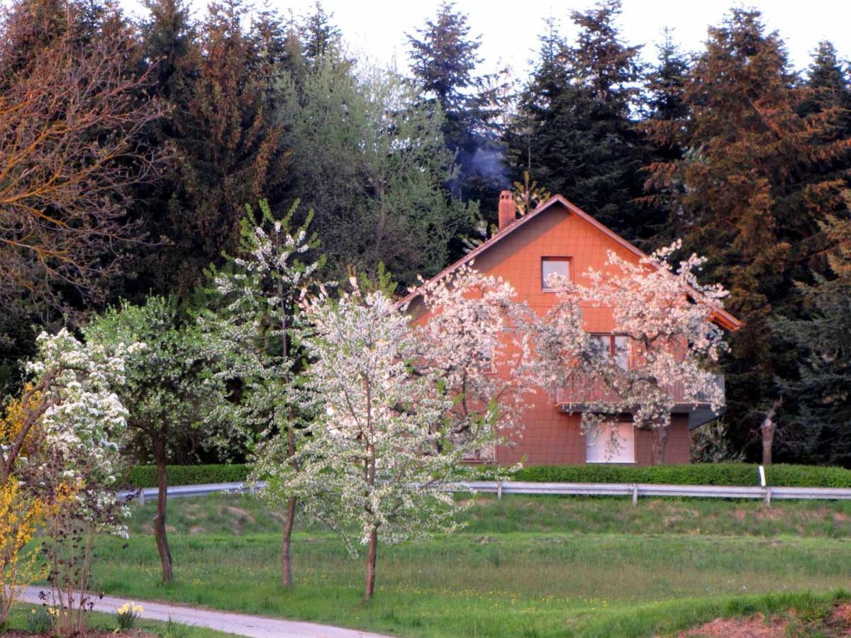 Haus Hollerbusch Neunburg vorm Wald Exterior foto