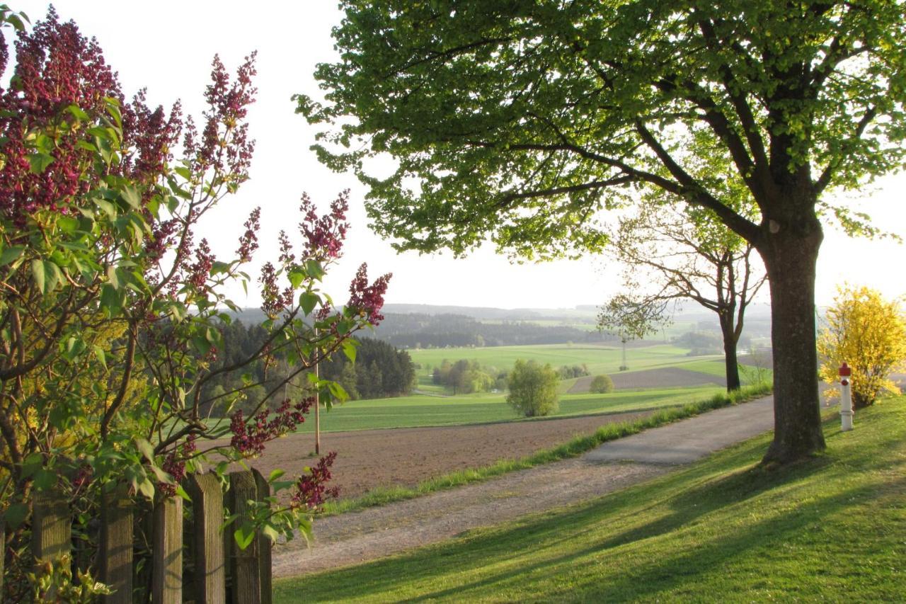 Haus Hollerbusch Neunburg vorm Wald Exterior foto